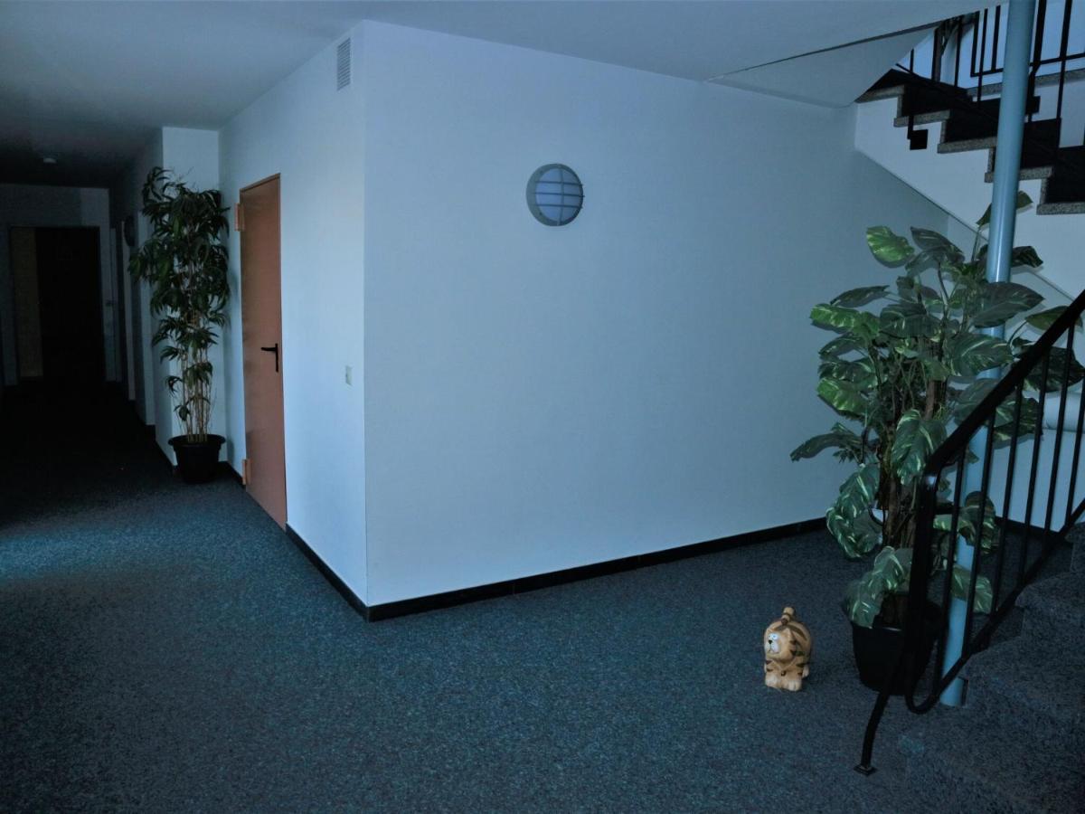 Apartment Modern In With Garden *